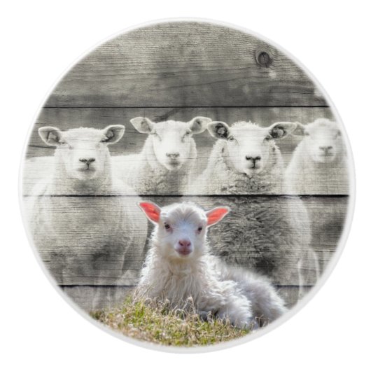 Schapenkoppel Baby lampvoet Keramische Knop (Voorkant)