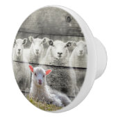 Schapenkoppel Baby lampvoet Keramische Knop (Rechts)