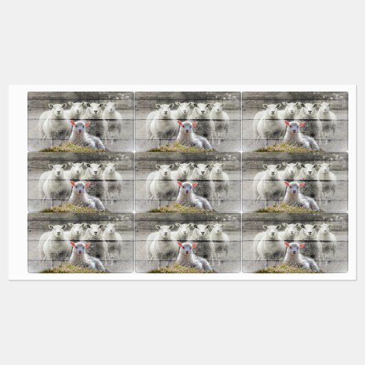 Schapenkoppel Baby lampvoet Labels (Vel)