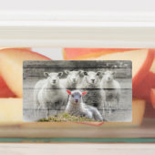 Schapenkoppel Baby lampvoet Labels (Aangebracht)