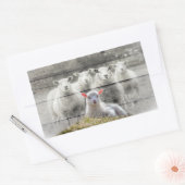 Schapenkoppel Baby lampvoet Rechthoekige Sticker (Envelop)