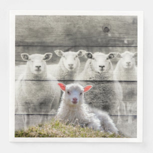 Schapenkoppel Baby lampvoet Servet