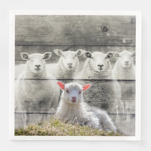 Schapenkoppel Baby lampvoet Servet (Voorkant)