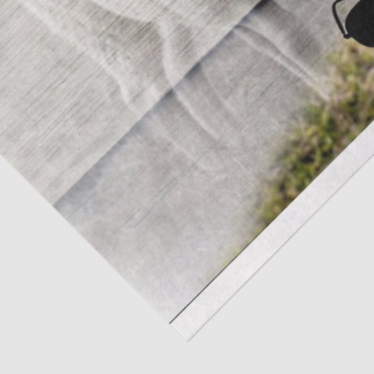 Schapenkoppel Baby lampvoet Tissuepapier (Detail)