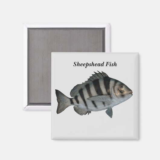 schapenkopvis magneet (Voorkant / Achterkant)