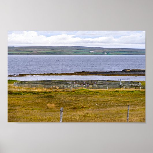 Schapenkoraal door een Fjord, IJsland Poster (Voorkant)