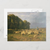 Schapenkudde in een landschap briefkaart (Voorkant / Achterkant)