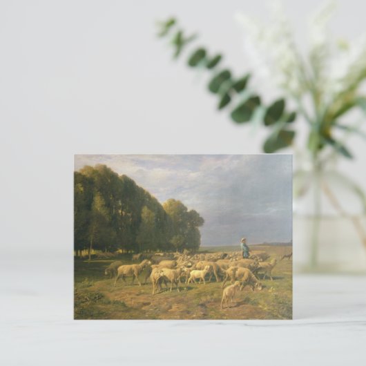 Schapenkudde in een landschap briefkaart (Staand voorkant)