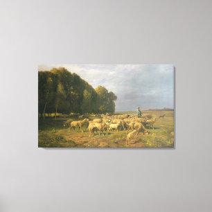 Schapenkudde in een landschap canvas afdruk