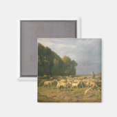 Schapenkudde in een landschap magneet (Voorkant / Achterkant)
