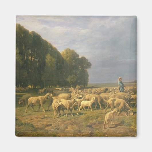 Schapenkudde in een landschap magneet (Voorkant)