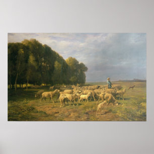 Schapenkudde in een landschap poster