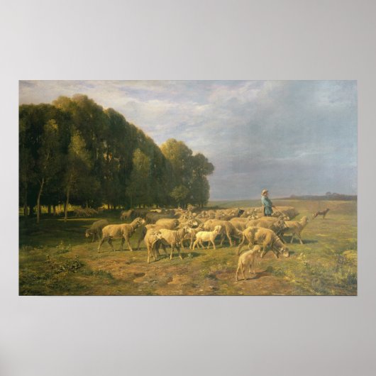 Schapenkudde in een landschap poster (Voorkant)