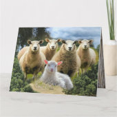 Schapenkudde Schapen Baby Lamb Bedankkaart (Achterkant)