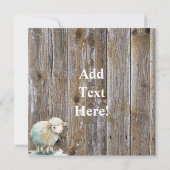 Schapenkudde Schapen Baby Lamb Kaart (Achterkant)