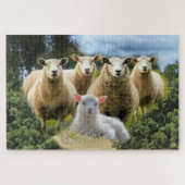 Schapenkudde Schapen Baby Lamb Legpuzzel (Horizontaal)