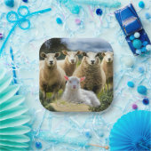 Schapenkudde Schapen Baby Lamb Papieren Bordje (Feest)