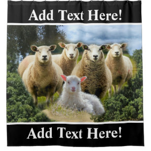 Schapenkudde Schapen Baby Lamb Schapen Boerderij Douchegordijn