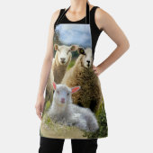 Schapenkudde Schapen Baby Lamb Schort (Insitu)