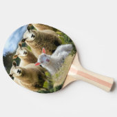 Schapenkudde Schapen Baby Lamb Tafeltennisbatje (Zijkant)