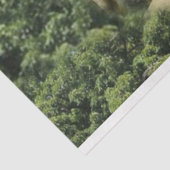 Schapenkudde Schapen Baby Lamb Tissuepapier (Detail)