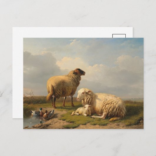 Schapenlam en eenden | Eugène Joseph Verboeckhoven Briefkaart (Voorkant / Achterkant)