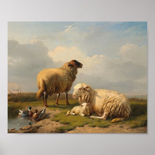 Schapenlam en eenden | Eugène Joseph Verboeckhoven Poster (Voorkant)