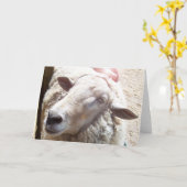 Schapenlam van God Christelijk wenskaart Kaart (Gele Bloem)