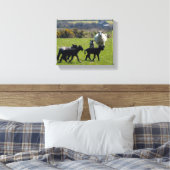 Schapenlammeren Bodmin Moor Cornwall Engeland Canvas Afdruk (Insitu (Slaapkamer))
