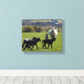 Schapenlammeren Bodmin Moor Cornwall Engeland Canvas Afdruk (Insitu (Houten vloer))