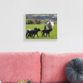 Schapenlammeren Bodmin Moor Cornwall Engeland Canvas Afdruk (Insitu (Woonkamer))