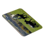 Schapenlammeren Bodmin Moor Cornwall Engeland Magneet (Rechterzijde)