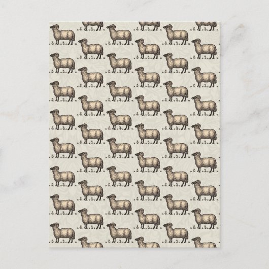 Schapenlammeren Boerderij Dierlijke Vintage Briefkaart (Voorkant)