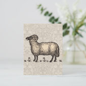 Schapenlammeren Boerderij Dierlijke Vintage Briefkaart (Staand voorkant)