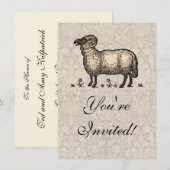 Schapenlammeren Boerderij Dierlijke Vintage Kaart (Voorkant / Achterkant)