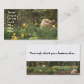 Schapenlammeren Ram Farm Animals Ranch Visitekaartje (Voorkant / Achterkant)