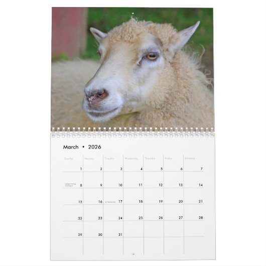 Schapenliefhebbers Kalender (Mar 2026)