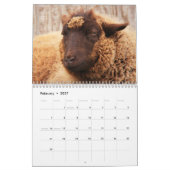 Schapenliefhebbers Kalender (Feb 2027)