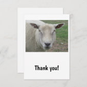 Schapenontwerp Hartelijk dank Bedankkaart (Voorkant / Achterkant)