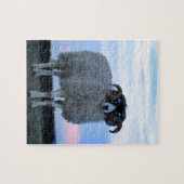 Schapenpuzzel met tin legpuzzel (Horizontaal)