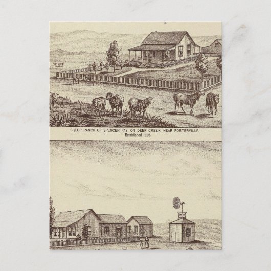 Schapenranches van Deer Creek Briefkaart (Voorkant)