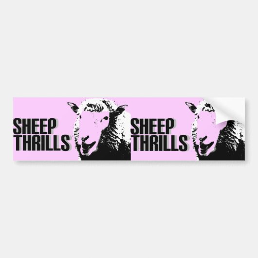 schapenspanners met dubbele bumper bumpersticker (Voorkant)