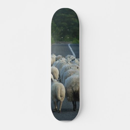 Schapenstallen Persoonlijk Skateboard (Voorkant)