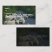 Schapenstallen Visitekaartje (Voorkant / Achterkant)