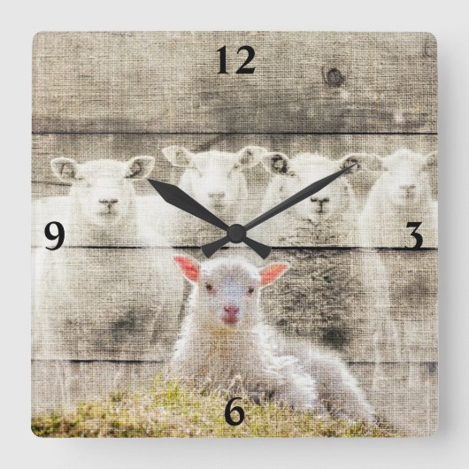 Schapenstraal Baby Lamb Burlap Square Wall klok (Voorkant)