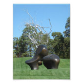 Schapenstuk en boom foto afdruk (Voorkant)