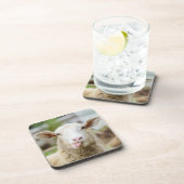 Schapentong show bier onderzetter (Rechterzijde)