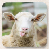 Schapentong show bier onderzetter (Voorkant)