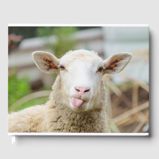 Schapentong show gastenboek (Voorkant)