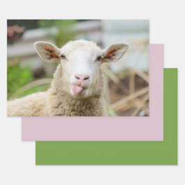 Schapentong show inpakpapier vel